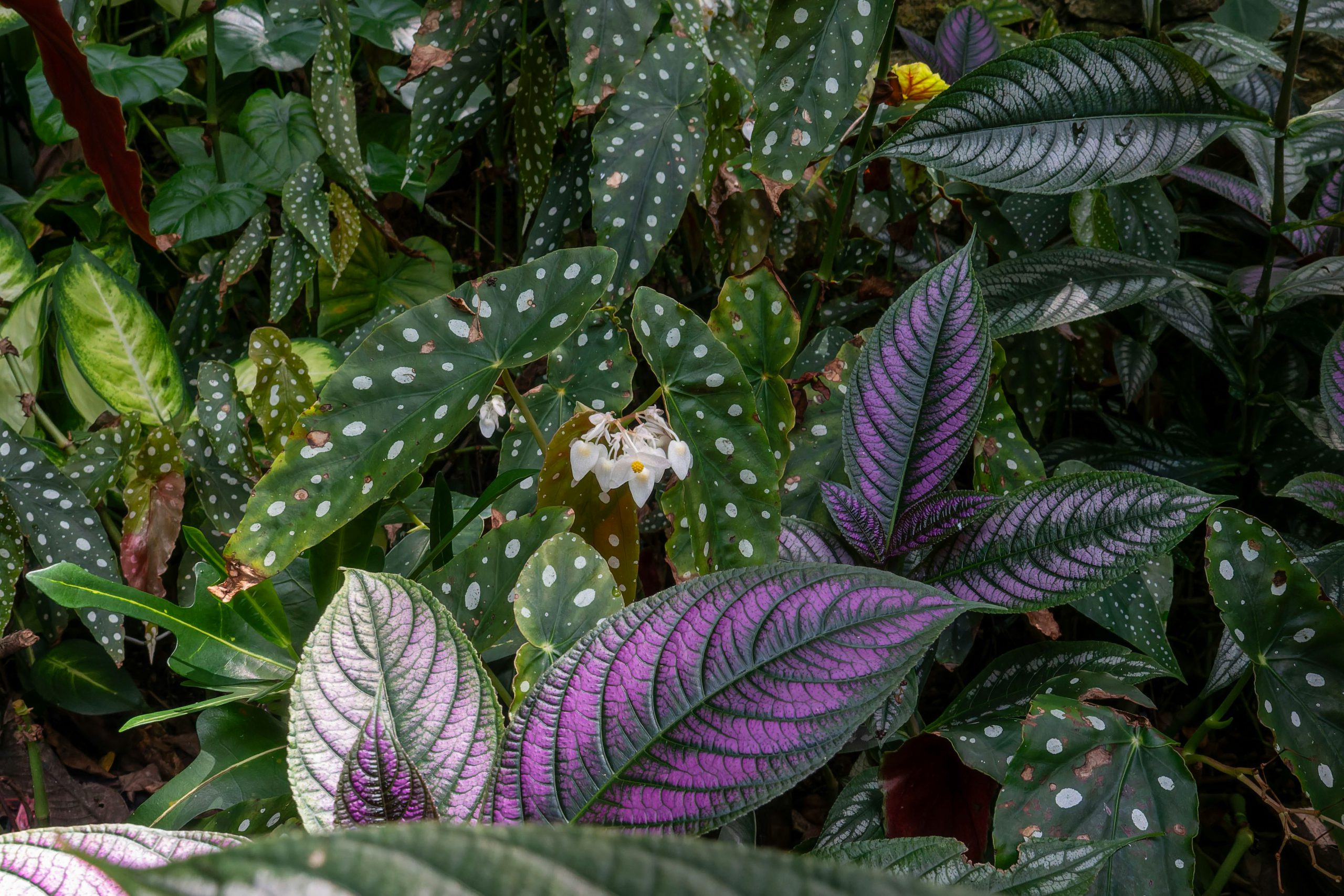 Blog post
